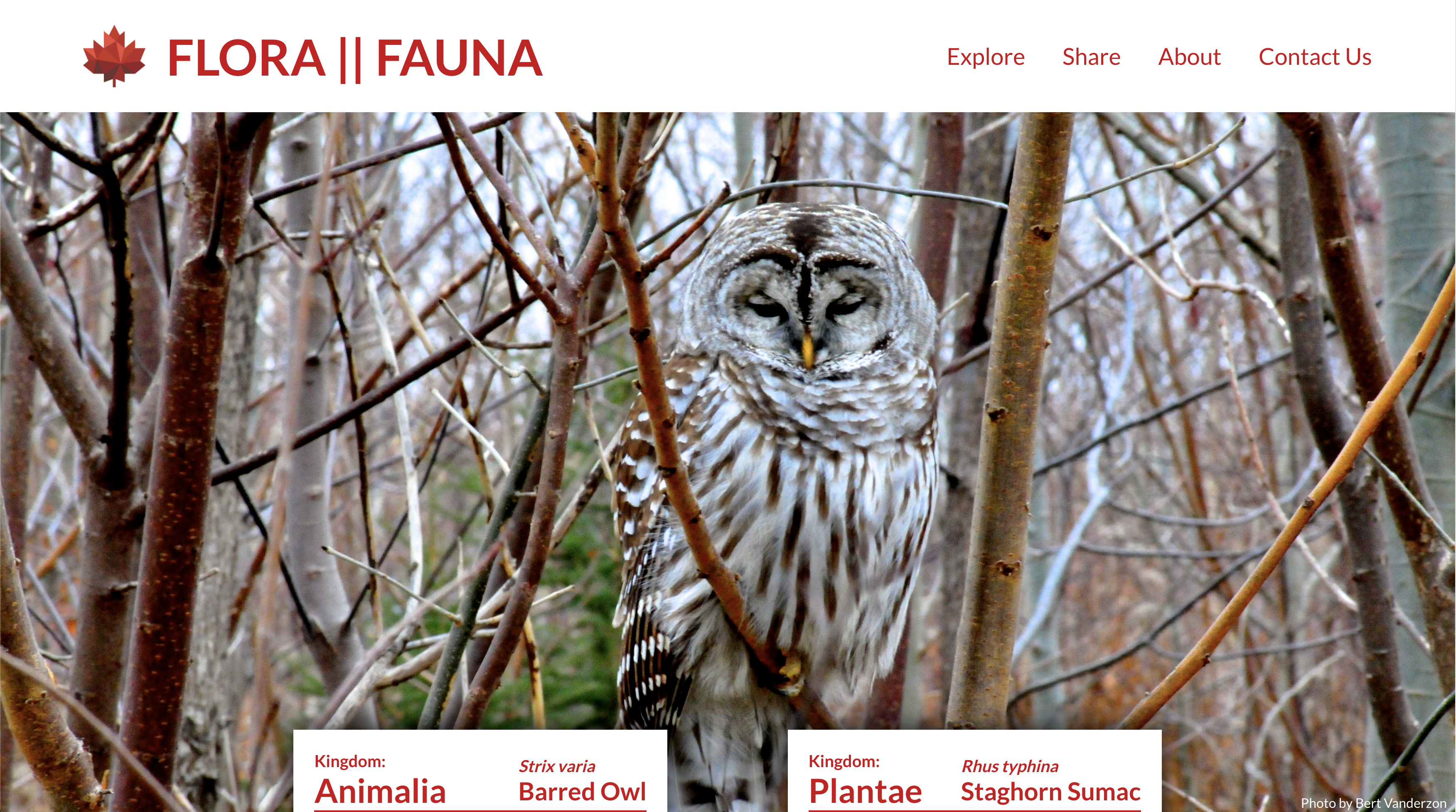 canadian flora & fauna website